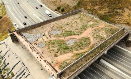 World’s Largest Wildlife Overpass Set to Open in December 2026