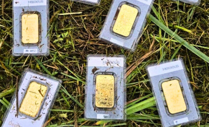 Municipal Worker Uncovers Gold Bars Worth €40,000 While Mowing Grass
