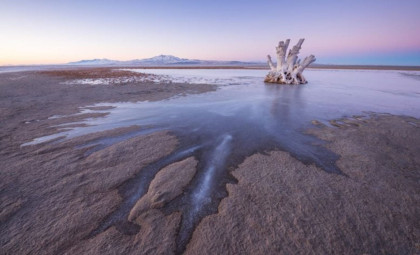 A Newly Discovered Microscopic Worm Thrives in Utah's Great Salt Lake, Possibly Since Dinosaur Times