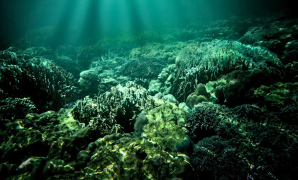 Microfossil Evidence from Australia Sheds Light on Early Complex Life 1.7 Billion Years Ago