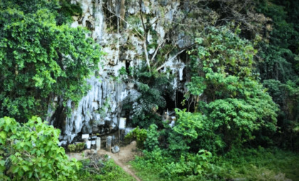 Ancient Humanlike Species Unearthed in Sulawesi Cave Reveals Early Hunting Practices