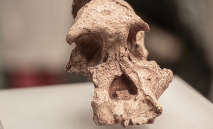 Ancient 1-Million-Year-Old Skull From China Suggests Earlier Human Lineage Divergence