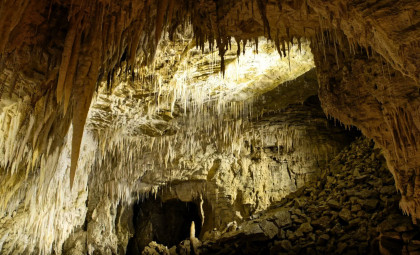 Ancient New Zealand Cave Reveals Fossils of Forgotten Wildlife From a Million Years Ago