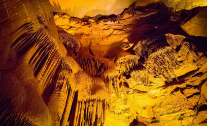 Unveiling Kentucky’s Mammoth Cave: A 426-Mile Underground World with Remarkable Creatures