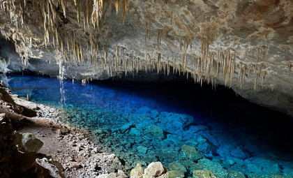 New Insights Reveal 540-Million-Year-Old Fossils Are Ancient Microbial Life, Not Animal Traces
