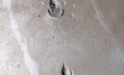 Ancient Brazilian Footprints Unearth New 135-Million-Year-Old Dinosaur Species Without Bones