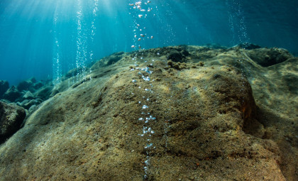 Unveiling a Massive Hidden Network of 40,000 Underwater Volcanoes