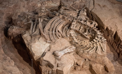 New Insights Unveil the True Appearance of England’s Earliest Complete Dinosaur Skeleton