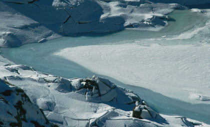 Antarctica’s First Dinosaur Bone Identified From a 40-Year-Old Fossil Discovery