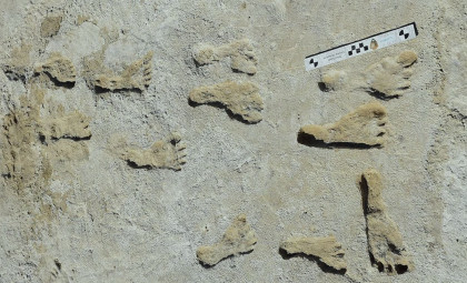 New Dating Confirms 23,000-Year-Old Human Footprints at White Sands, New Mexico