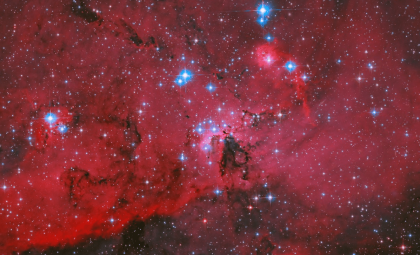 Hubble Captures Breathtaking Stellar Nursery Teeming with Emerging Stars
