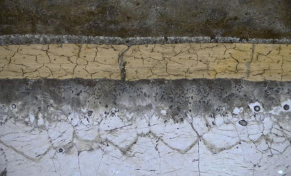 Groundbreaking Discovery Unveils Ancient Molecules in 113-Million-Year-Old Pterosaur Fossil