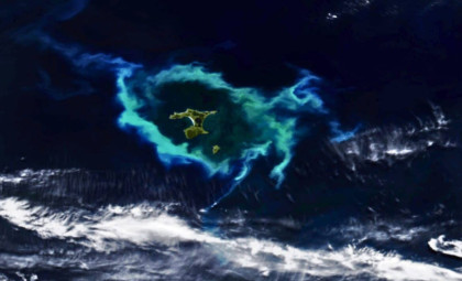 Satellite Reveals Mystical Halo Over Pacific from Invisible Microscopic Lifeforms