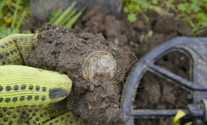 Norwegian Metal Detectorist Uncovers Rare Medieval Coin Mistaken for Button