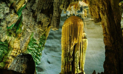 Unveiling Over 80 Translucent Crustaceans From a Newly Identified Genus in Australian Cave