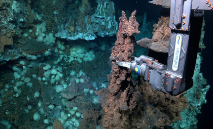 Scientists Capture First Footage of Transparent-Headed Fish 710 Meters Deep in the Atlantic