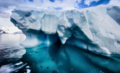 Scientists Validate Vast Fish Nesting Grounds Under Antarctic Ice Shelf