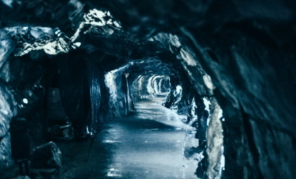 Hidden Norwegian Cave Unveils a 75,000-Year-Old Arctic Ecosystem