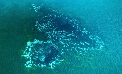 Hidden Oceanic Methane Emissions Revealed: A Climate Feedback Threatens to Intensify Global Warming