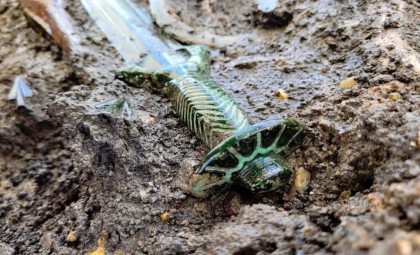 Remarkably Preserved 3,000-Year-Old Bronze Sword Discovered in Bavaria