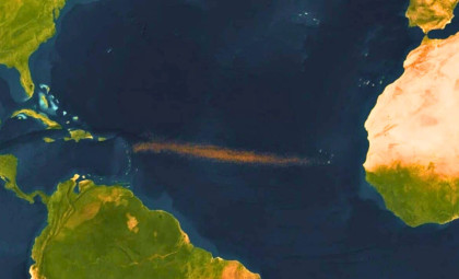 Massive Brown Seaweed Belt Expands Across Atlantic, Raising Environmental Concerns
