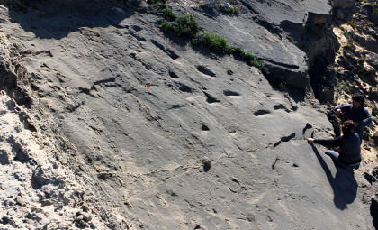 80,000-Year-Old Neanderthal Footprints Unearthed in Portugal Reveal Complex Social Behavior